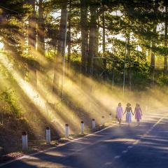 The Dr. Pat Show, Dr. Pat Show, Dr. Pat, Pat Baccili, Transformation Talk Radio, transformation, Felice DiAnna