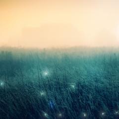 Awaken Your Truth with RiTika Rose: Conscious Dialogues That Free Your Mind, Heal Your Life, and Embody Your Power: Healing the Dark Night of the Soul: Breaking Through into Freedom of Mind - Trilogy of Conscious Series Part 1