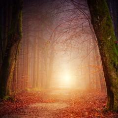 Masterpiece created by Johannes Plenio@jplenio and Unsplash