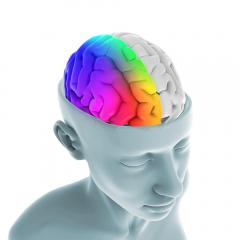 Beyond Proof with Angie Corbett-Kuiper: Re-defining Death and Loss: Left Brain: Right Brain...Dissecting both hemispheres. Which has the power to heal?