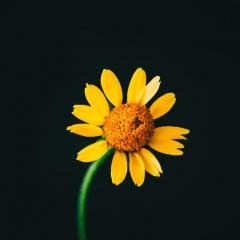 Beyond Proof with Angie Corbett-Kuiper: Re-defining Death and Loss: Ordinary People having Extraordinary Experiences.