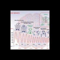 Beyond Proof with Angie Corbett-Kuiper: Re-defining Death and Loss: The Art and Science of Sound Continued...
