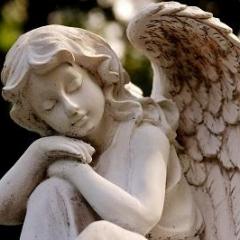 misty thompson-angel-transformationtalkradio-dr pat