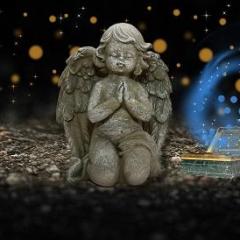 misty thompson-transformationtalkradio-thedrpatshow-spirit team