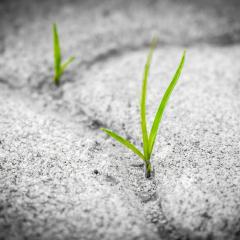 SherrieClark-CouragetoBeSeen-HowtoKeepGoingWhenTimesGetTough