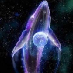 Divine Guidance with Patricia: Focusing on SOULutions for Your Whole BEing: I AM BACK!!