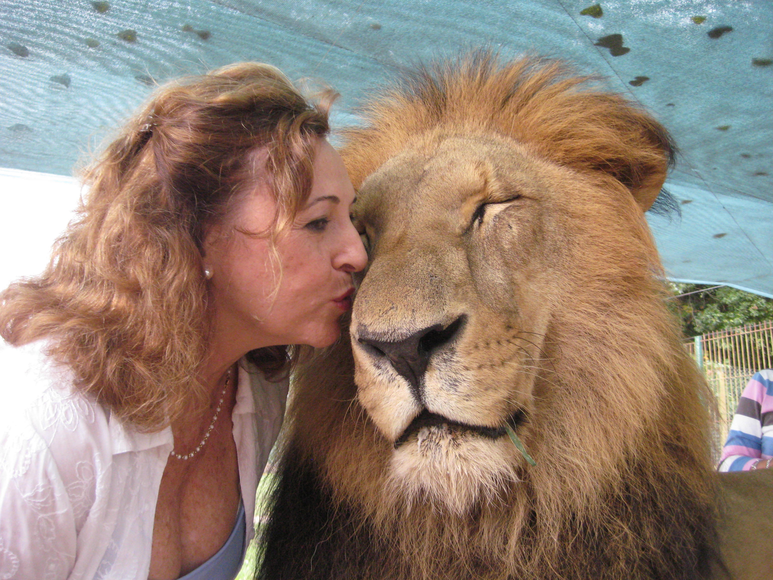 Dr. Monica Diedrich Ph.D.