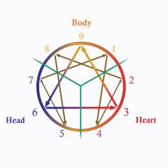 Enneagram Conversations with Renee Siegel: Examining Patterns, Walking the Path, & Unlocking Your Potential: Three Ways of Knowing with my Friend and Colleague Sarah Dimock