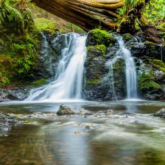 Gimme the Joy &trade; Radio with Lynn Hord: Joy is your birthright....just ask for it!: How to Deepen into the Flow of More Joy