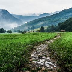 Grounding Into Your Radiance: A Space to Dream, Explore, and Reconnect to Your Essential Self with Stacie Barber: Sculpting From the Inside Out: Learning to Ground Into Your Radiance