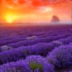 Grow Your Soul Radio with Jane Matanga: Ignite Your Inner Magic!: Your Passion and Power