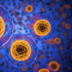 The Dr. Pat Show, Dr. Pat Show, Dr. Pat, Dr. Pat Baccili, Dr. Ibrahim Jaffe, Transformation Talk Radio, transformation