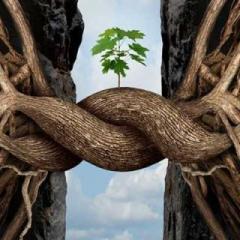 Knowledge Book Radio with Marge Ptaszek: How Did We Get Here?