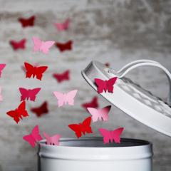 The Dr. Pat Show, Dr. Pat Show, Dr. Pat, Pat Baccili, Transformation Talk Radio, transformation, Susan De Lorenzo