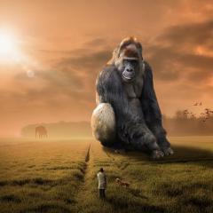 life design radio susan delorenzo and dr. pat baccili