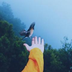 susan delorenzo-worry to warrior-transformation talk radio