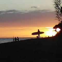 Love Living Radio with Emily Perkins - Ignite Your Whole Being!: Living Simply with Jonathan Kaye 