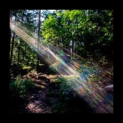 Maximum Medicine with Dr. Sharon Martin: Bridging the Mystical & Scientific for Healing: Energy Healing with Sonja Grace