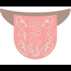 Maximum Medicine with Dr. Sharon Martin: Bridging the Mystical & Scientific for Healing: The Body Can with Dr Randi Shannon