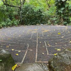 Walking the Labyrinth Path