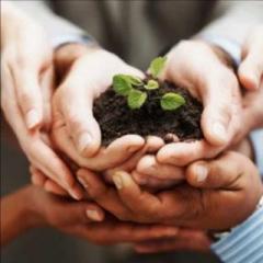 Sheer Alchemy! with Co-host Leslie Fonteyne: Creation: Every Day is New