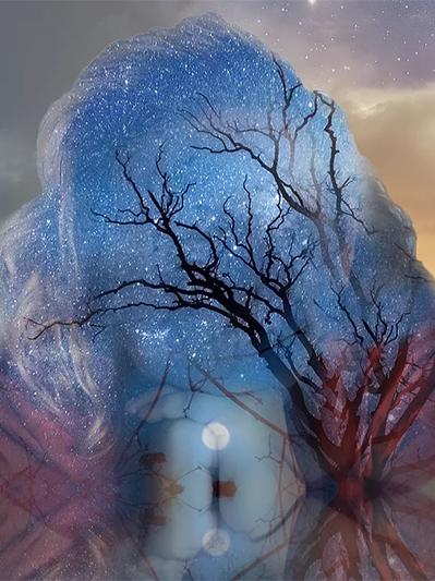 SpiritWalker Nicole - Shades of Spirit