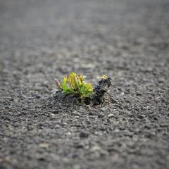 THRIVE by Jen&trade; Radio: Body Confidence ~ Mind Fulfillment ~ Soul Synchronicity: Are you waiting on a Breakthrough? Then this is your episode! 