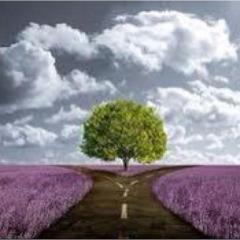 The Becoming You Show with Leah Roling: 85.  Desire vs. Reality: Unlocking Vibrancy, Connection, and Meaning in a Modern World