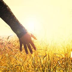 the christine upchurch show - tools for peaceful living