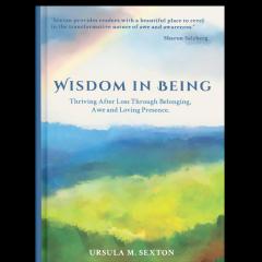 Wisdom in Being book cover