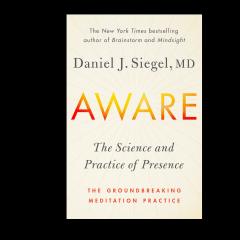 Aware-Dr. Daniel Seigel-tranformationtalkradio