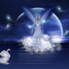 The Dr. Pat Show: Talk Radio to Thrive By!: Angels Facilitate Love and Romance with The Angel Lady Sue Storm