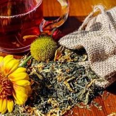 jessica dooley-herbs-transformationtalkradio