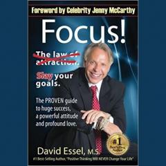 David Essel Focus-Slay Your Goals