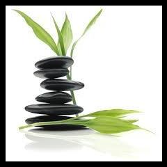 The Dr. Pat Show: Talk Radio to Thrive By!: Dr. Nooshin Darvish: Honoring 15 Years of Saving Lives