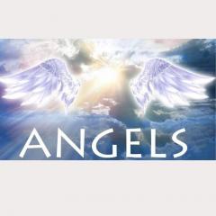 angelmessages2u, Lisa Ann, The Dr Pat Show, Dr Pat Show, Dr Pat, Pat Baccili, Transformation Talk Radio, transformation,