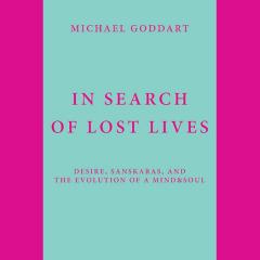 in search of lost lives by michael goddart
