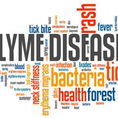 The Dr. Pat Show: Talk Radio to Thrive By!: Lyme Disease: The Forgotten and Quiet Psychological Epidemic