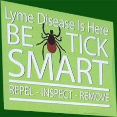 The Dr. Pat Show: Talk Radio to Thrive By!: New Possibilities for the Treatment of Lyme Disease with Naturopath Dr. Nooshin Darvish 