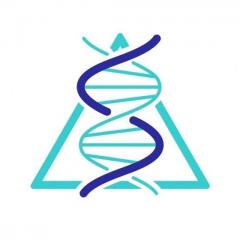 The Dr. Pat Show: Talk Radio to Thrive By!: Scalar Light: The Promise of New Technology with Tom Paladino