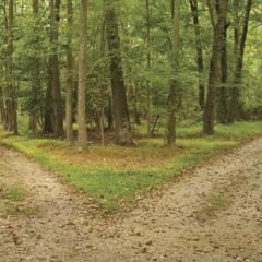 The Dr. Pat Show: Talk Radio to Thrive By!: Stepping Onto Your Destiny Path with Co-host Joy Elaine