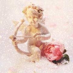 Sue Storm-The Dr. Pat Show-Dr. Pat-Transformation Talk Radio-Transformation