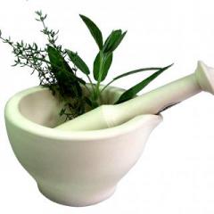 The Dr. Pat Show: Talk Radio to Thrive By!: Why Herbal Medicine is Relevant in Modern Integrative Healthcare with Katya Difani