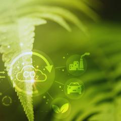 The Ecosystem Approach&trade; Show with Jason & Patricia Rohn: A revolutionary way to infinite potential!: Carbon footprint &ndash; major missing piece! 