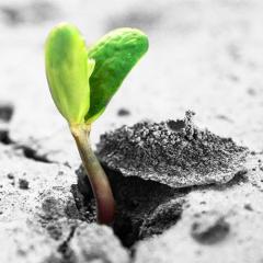 The Ecosystem Approach&trade; Show with Jason & Patricia Rohn: A revolutionary way to infinite potential!: New Beginnings - no resolutions here - start today with a better life! 
