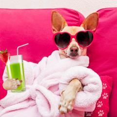 The Ecosystem Approach&trade; Show with Jason & Patricia Rohn: A revolutionary way to infinite potential!: Subtle Energy Spa Treatment!  