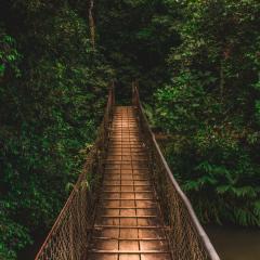 The Empower Me Show with Pam Bright: A Spiritual Toolbox for Your Life: Full Body System Wellness- The Cocoon Stage