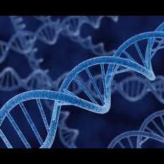 The Truth is Funny Radio.....shift happens! with Host Colette Marie Stefan: DNA and our Ancestry how does it impact the physical? with Author Charan Surdhar