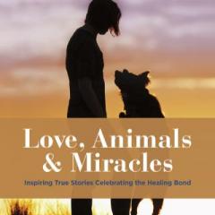 We Carry the Light with Host Dr. Susan Allison: Love, Animals and Miracles with Dr. Bernie Siegel